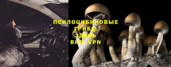 эйфоретик Армянск