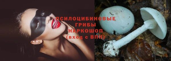 ГАЛЛЮЦИНОГЕННЫЕ ГРИБЫ Арсеньев