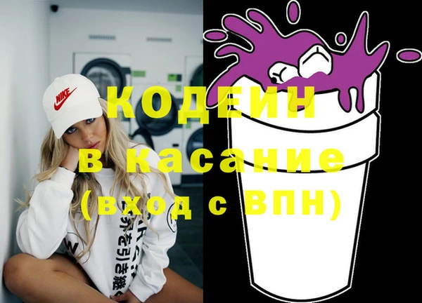 ГАЛЛЮЦИНОГЕННЫЕ ГРИБЫ Арсеньев