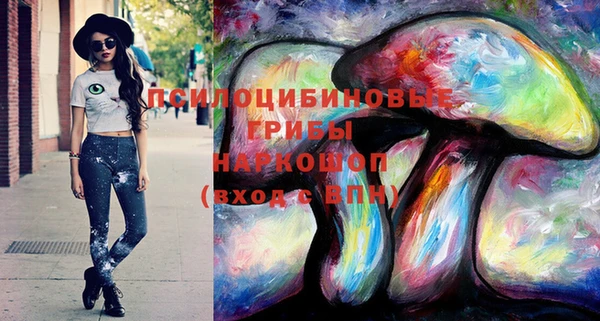 ГАЛЛЮЦИНОГЕННЫЕ ГРИБЫ Арсеньев